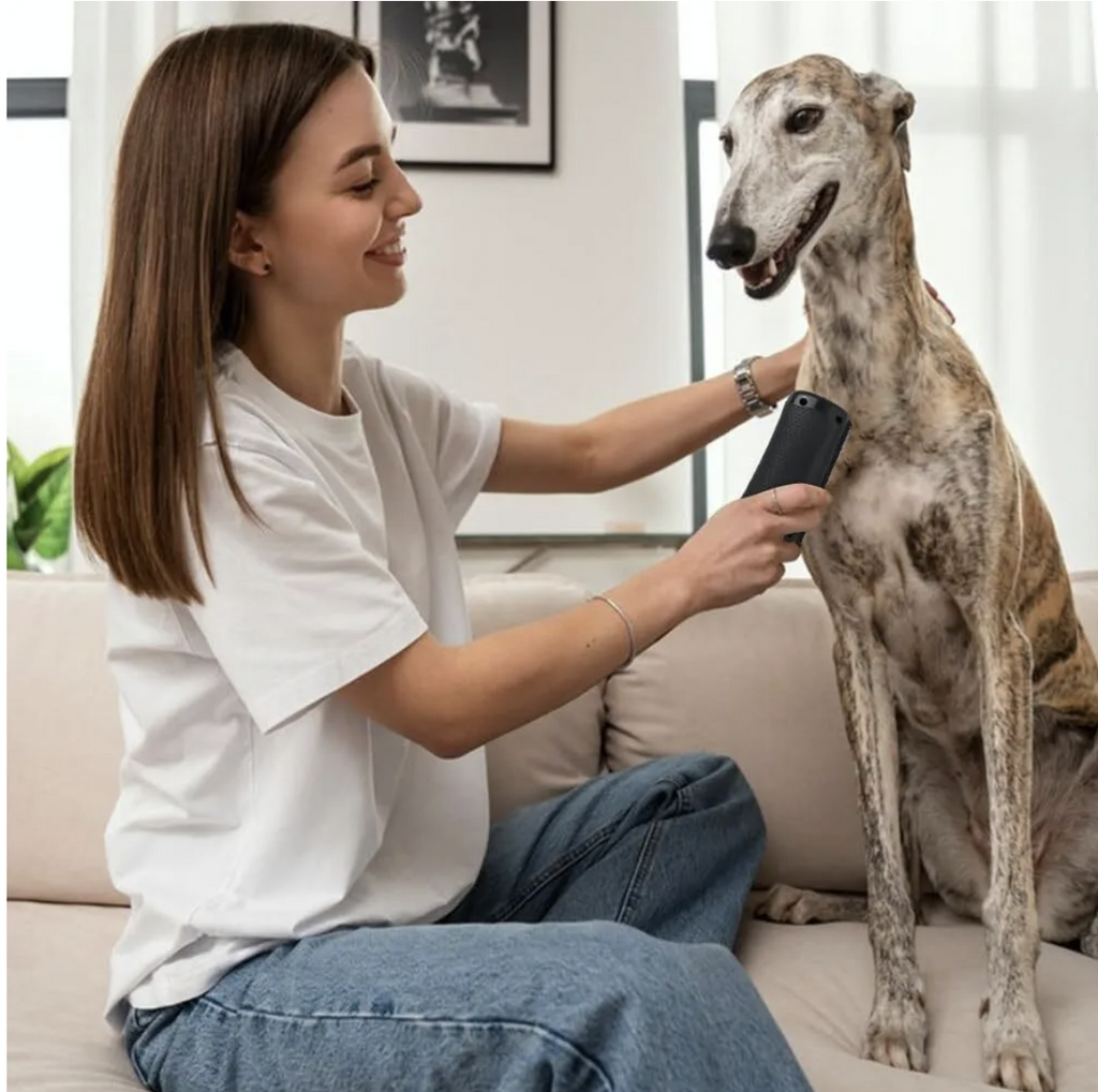 Brosse Anti-Mue – Toilettage facile pour chiens et chats