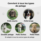 Brosse Anti-Mue – Toilettage facile pour chiens et chats