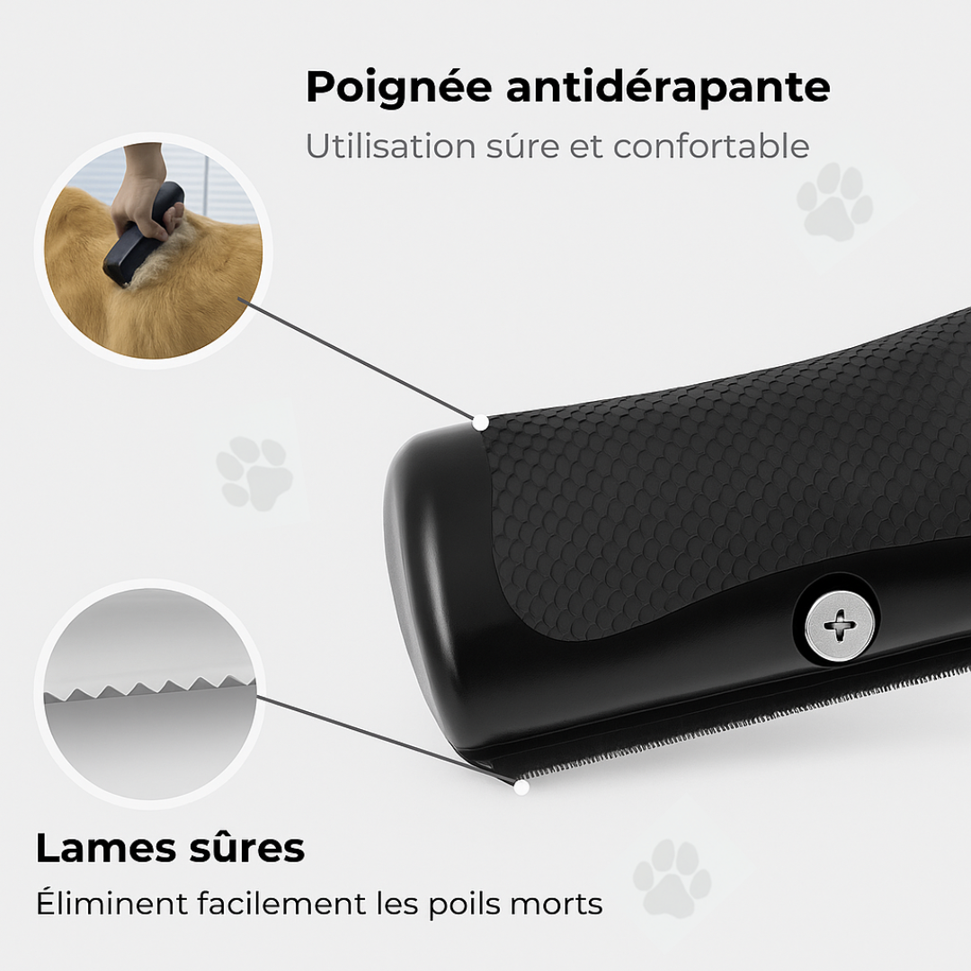 Brosse Anti-Mue – Toilettage facile pour chiens et chats