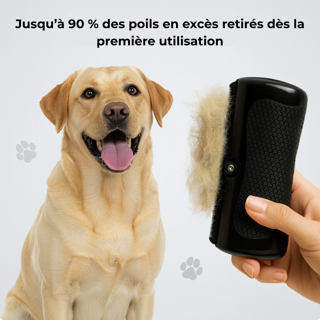 Brosse Anti-Mue – Toilettage facile pour chiens et chats
