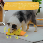 Canard Zen™ – Le jouet apaisant pour chien qui réduit stress et anxiété