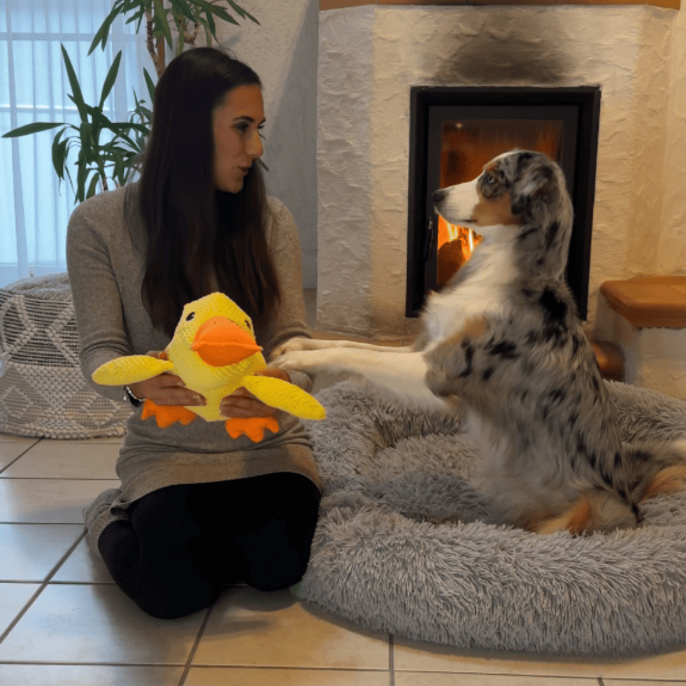 Canard Zen™ – Le jouet apaisant pour chien qui réduit stress et anxiété